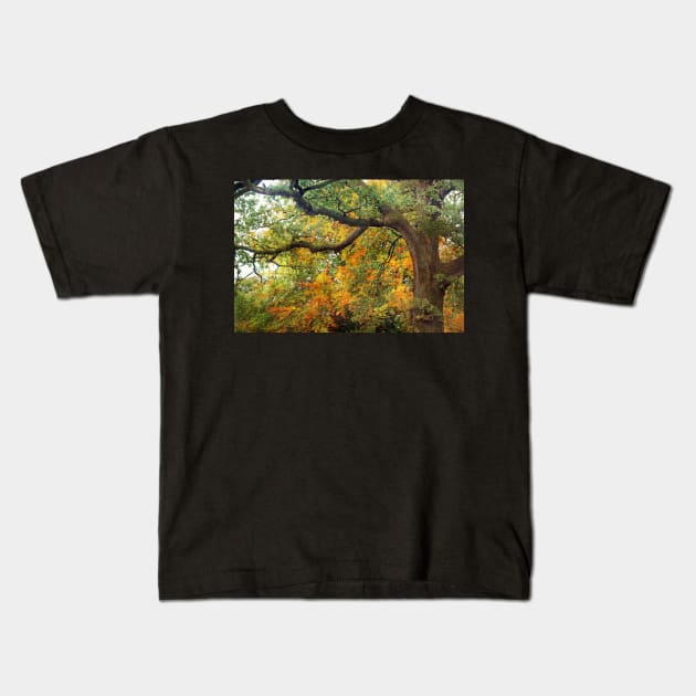 Autumn Warmth Kids T-Shirt by gracethescene